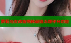 萝莉岛女政客揭秘最强治理平台功能