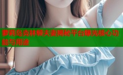 萝莉岛克林顿夫妻揭秘平台曝光核心功能与用途