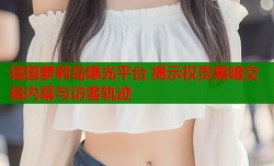 德国萝莉岛曝光平台 揭示权贵黑暗交易内幕与访客轨迹
