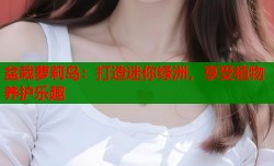 盆栽萝莉岛：打造迷你绿洲，享受植物养护乐趣
