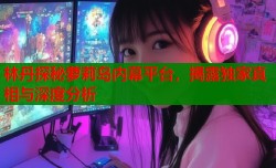 林丹探秘萝莉岛内幕平台，揭露独家真相与深度分析