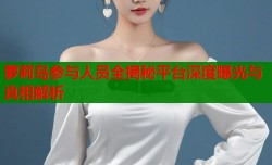 萝莉岛参与人员全揭秘平台深度曝光与真相解析