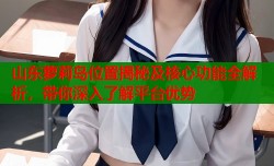 山东萝莉岛位置揭秘及核心功能全解析，带你深入了解平台优势