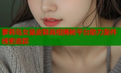 萝莉岛女童皮鞋真相揭秘平台助力案件线索追踪