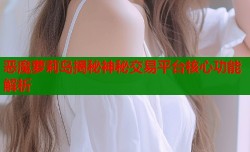 恶魔萝莉岛揭秘神秘交易平台核心功能解析