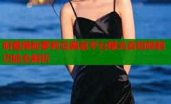 明星揭秘萝莉岛黑幕平台曝光真相吸睛功能全解析