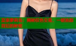 富豪萝莉岛：揭秘权色交易，一键追踪背后的秘密