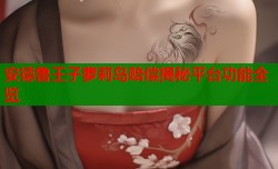 安德鲁王子萝莉岛赔偿揭秘平台功能全览