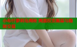 小布什萝莉岛揭秘 揭露权贵黑幕与隐秘交易