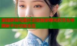 美国萝莉岛图片总统独家曝光权贵名单揭秘平台功能全览