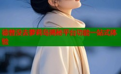 德普没去萝莉岛揭秘平台功能一站式体验