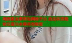 梅西霍金萝莉岛揭秘平台 直击权贵隐秘交易与永葆青春秘密