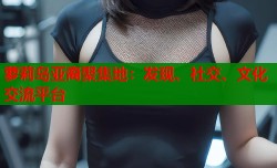 萝莉岛亚裔聚集地：发现、社交、文化交流平台