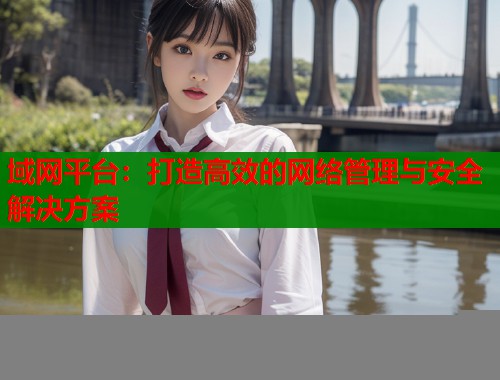域网平台：打造高效的网络管理与安全解决方案  第1张