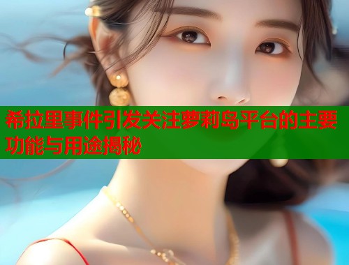 希拉里事件引发关注萝莉岛平台的主要功能与用途揭秘  第1张