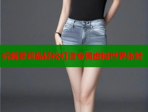 拆解萝莉岛轻松打造专属虚拟世界体验  第1张