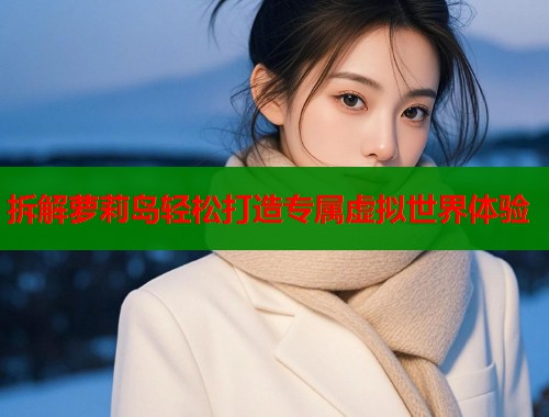 拆解萝莉岛轻松打造专属虚拟世界体验  第2张