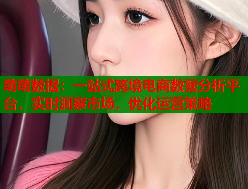 萌萌数据：一站式跨境电商数据分析平台，实时洞察市场，优化运营策略  第1张