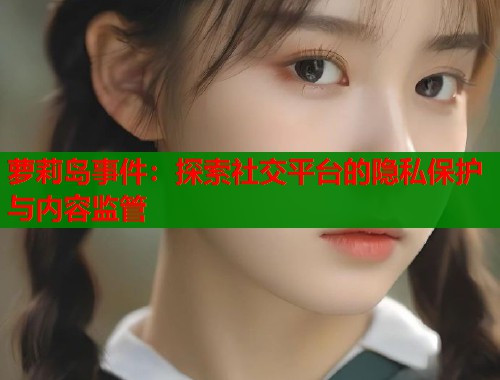 萝莉岛事件：探索社交平台的隐私保护与内容监管  第1张