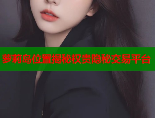 萝莉岛位置揭秘权贵隐秘交易平台  第2张