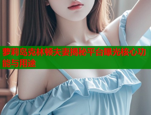 萝莉岛克林顿夫妻揭秘平台曝光核心功能与用途  第1张