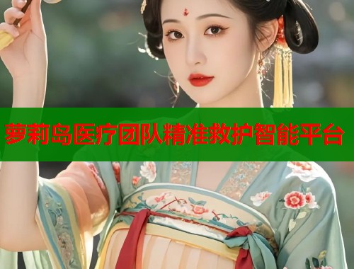 萝莉岛医疗团队精准救护智能平台  第1张