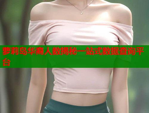 萝莉岛华裔人数揭秘一站式数据查询平台  第1张