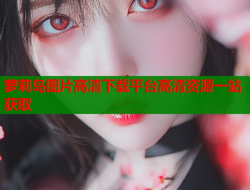 萝莉岛图片高清下载平台高清资源一站获取  第1张